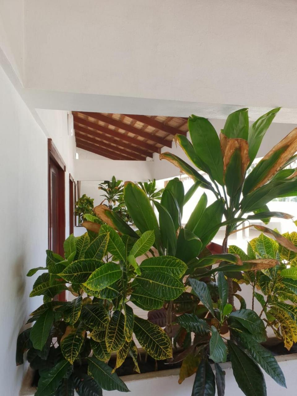 Oasi Encantada - Beach Resort Barahona Экстерьер фото